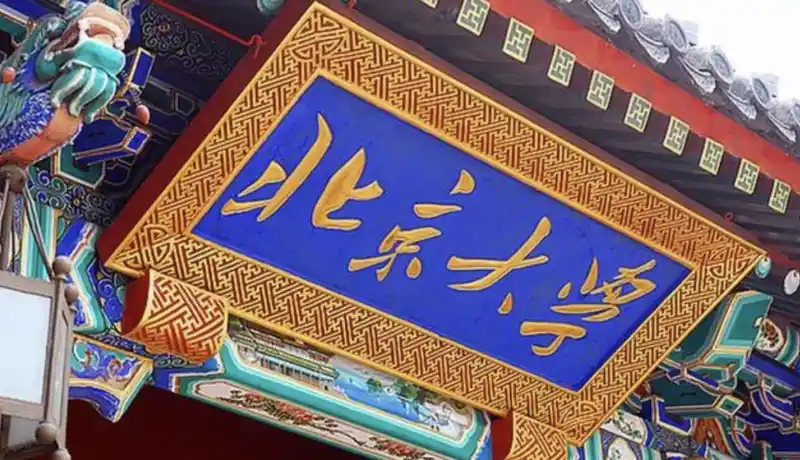 朱啸虎北大演讲：AI技术平权后，创业公司靠什么活下来？