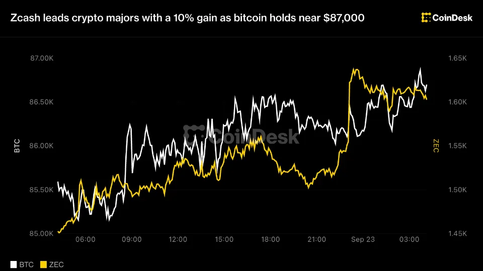 比特币守在 87,000 美元附近，Zcash 涨幅领跑主流加密货币