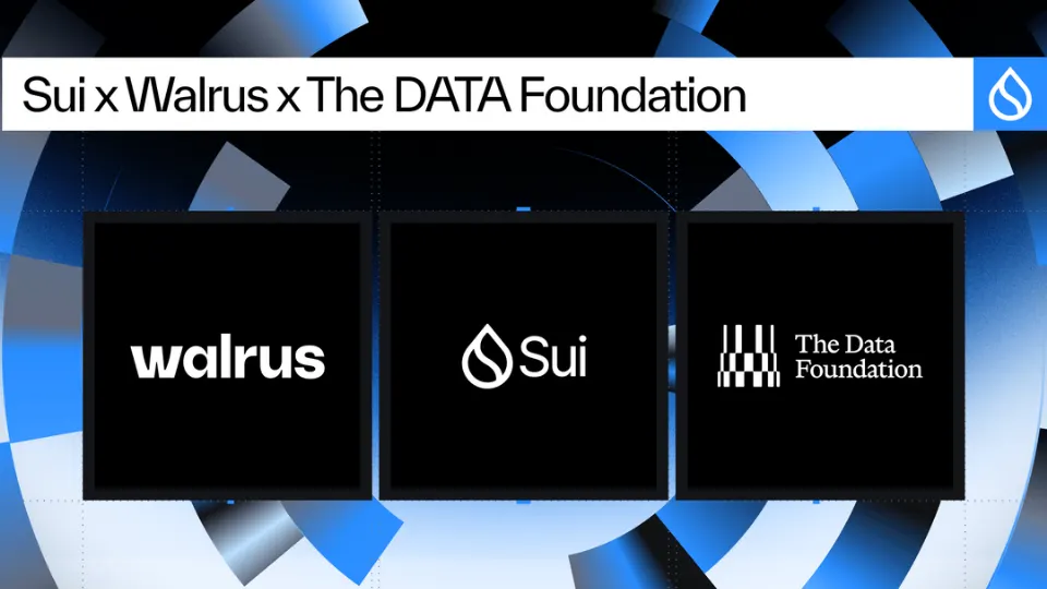 Sui Foundation斥资3000万美元投资DATA Network：AI训练数据基础设施迎来战略转向