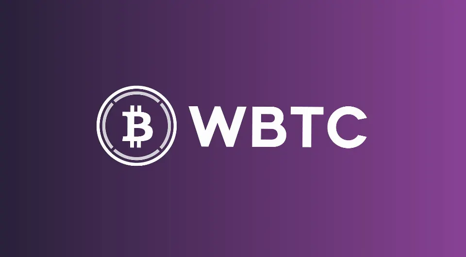 比特币的抗量子转型，不止关乎比特币本身