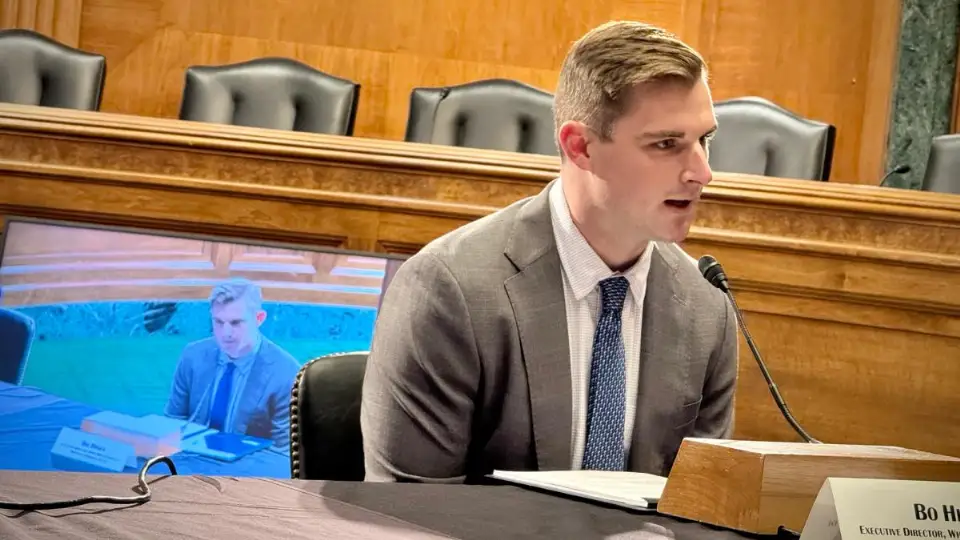 美国参议院民主党首席调查员调查 Tether 向 Bo Hines 公司付款